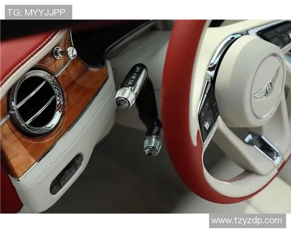 足球明星豪车内满载钞票生活奢华引人瞩目